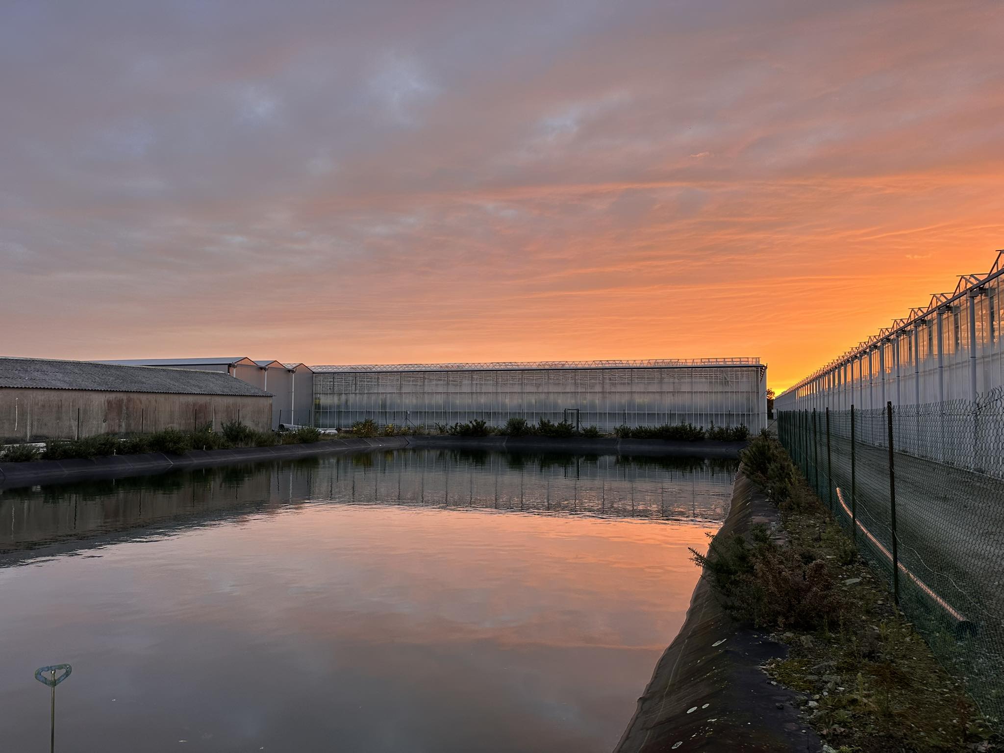 Les serres au coucher du soleil, vue sur la réserve d'eau