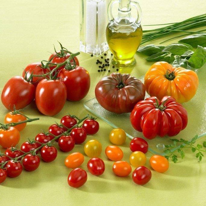 Assortiment de variétés de tomates